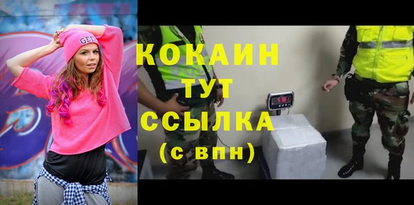 молекула духа Богданович