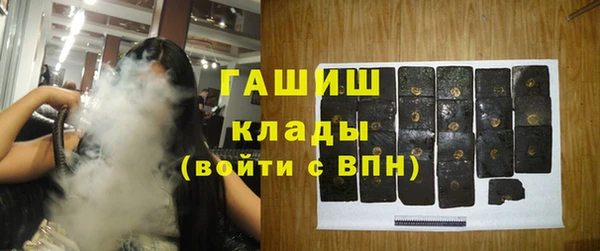 молекула духа Богданович