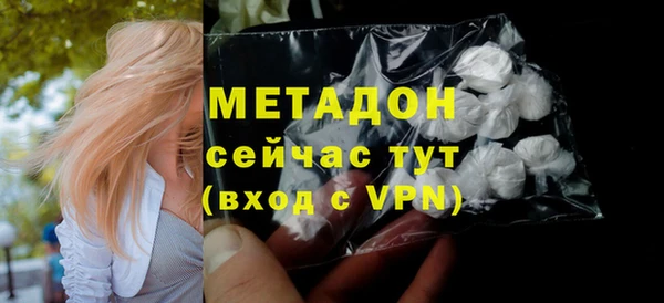 молекула духа Богданович