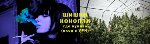 молекула духа Богданович