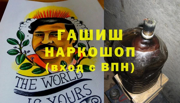 молекула духа Богданович