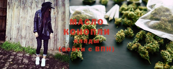 молекула духа Богданович