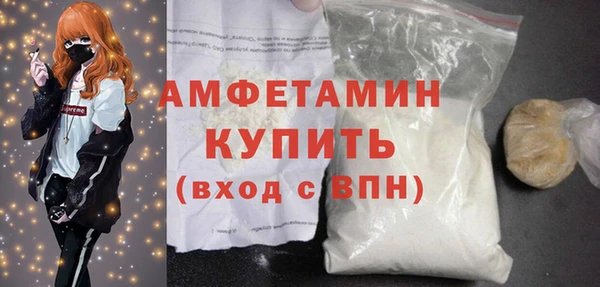 молекула духа Богданович