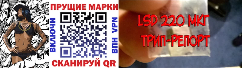 MEGA tor  Пересвет  Марки NBOMe 1,5мг 